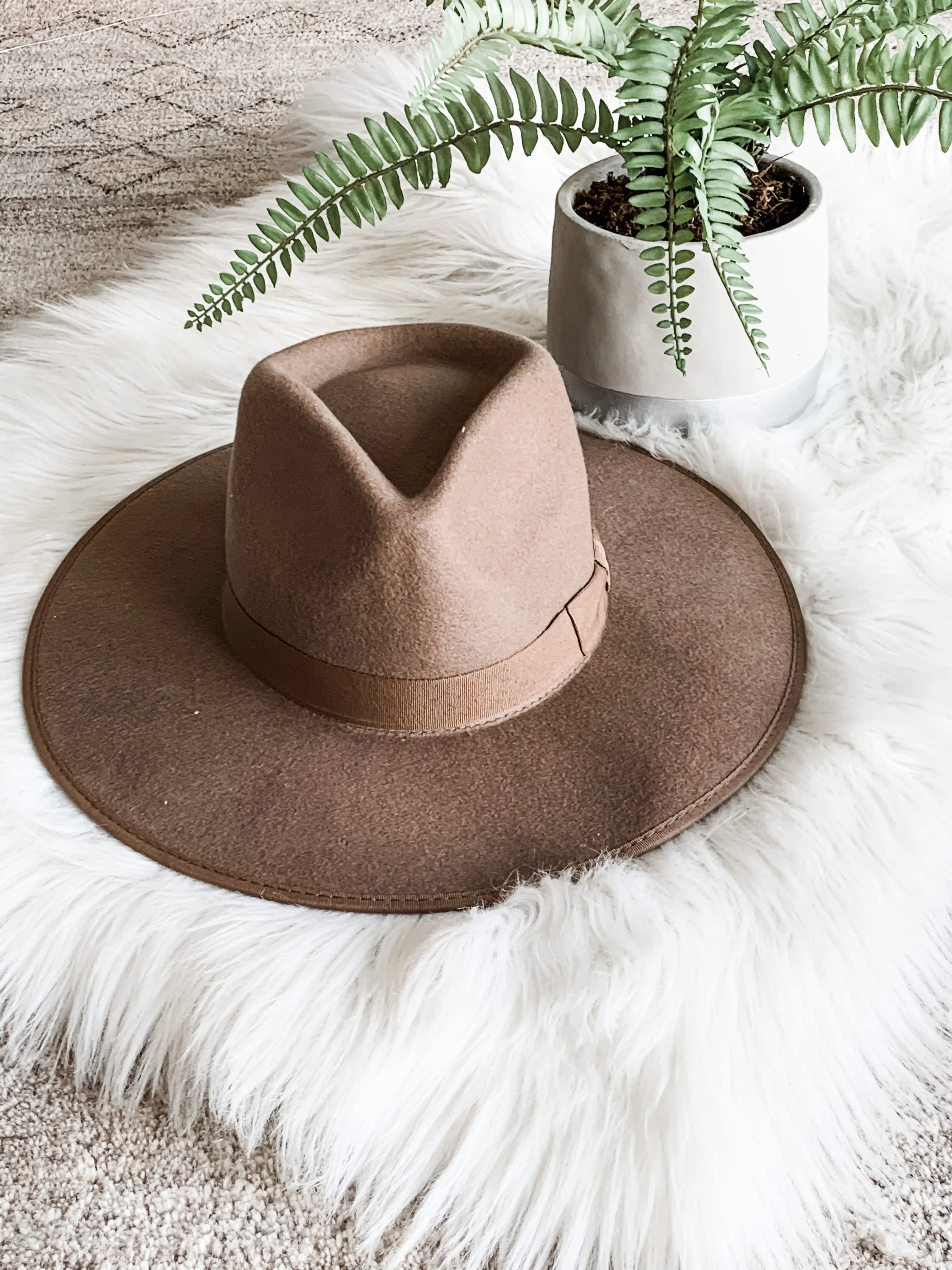 Barry Flat Brim Fedora