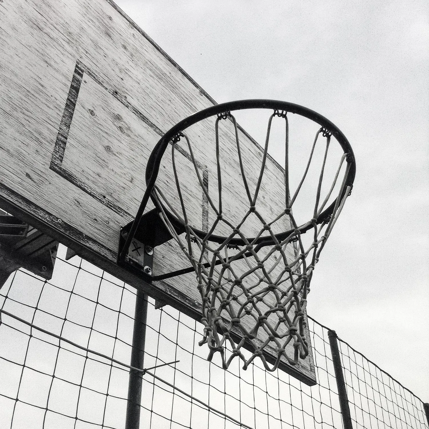 Basket Hoop