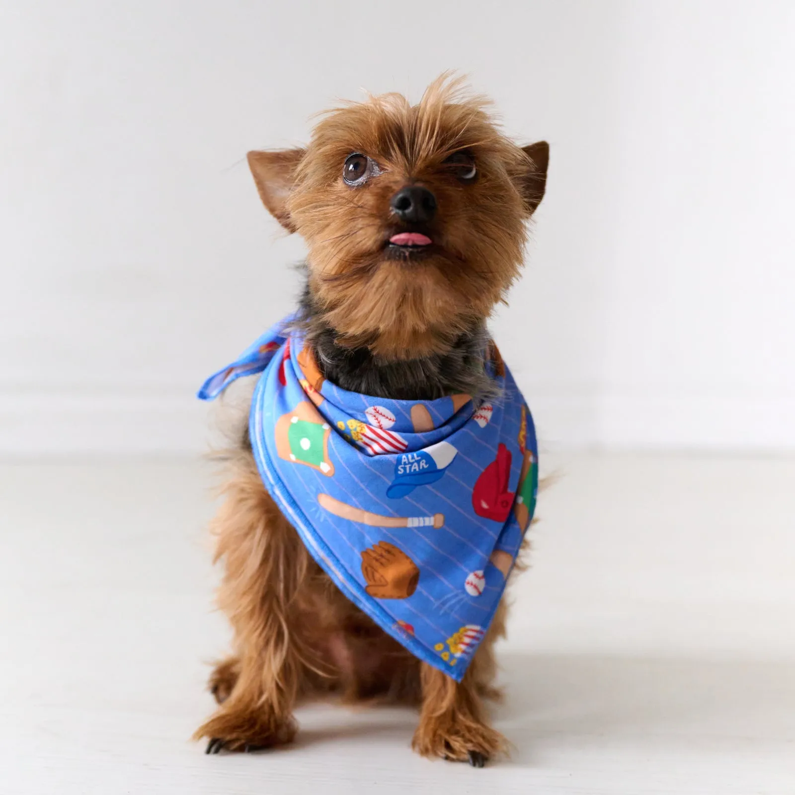 Blue All Stars Pet Bandana