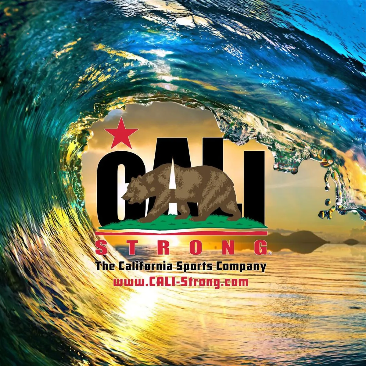 CALI Strong Sticker 4 Pack Series 1A Vinyl Decal Set