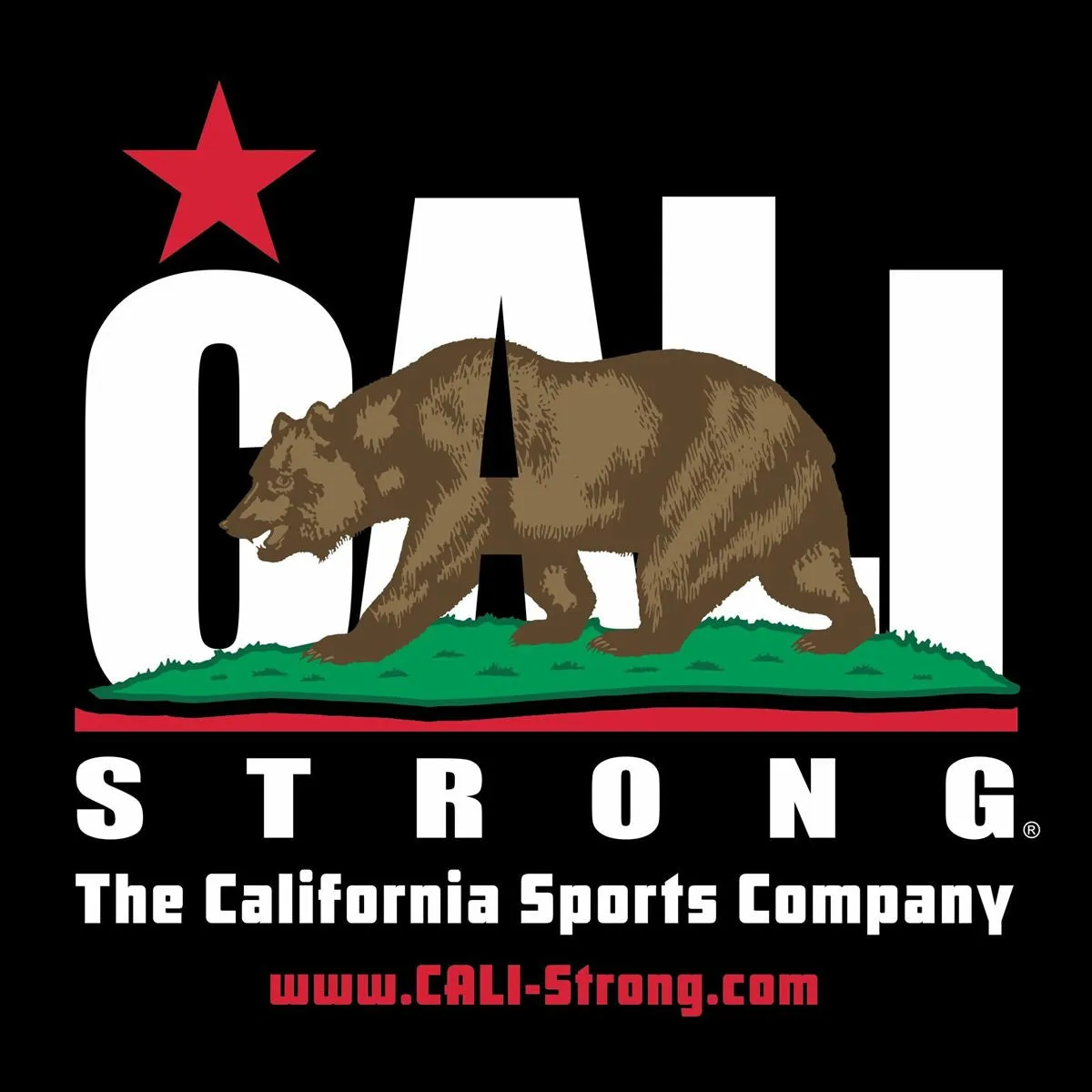 CALI Strong Sticker 4 Pack Series 1A Vinyl Decal Set