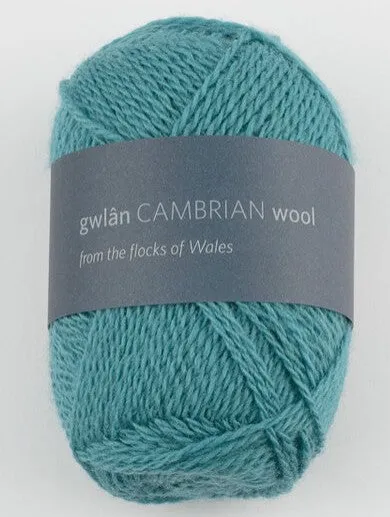 Cambrian Wool 4 ply