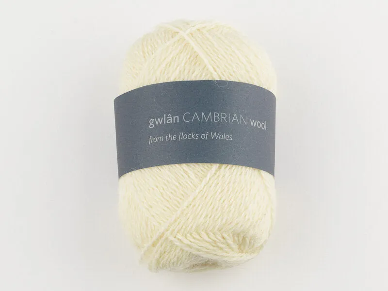 Cambrian Wool 4 ply