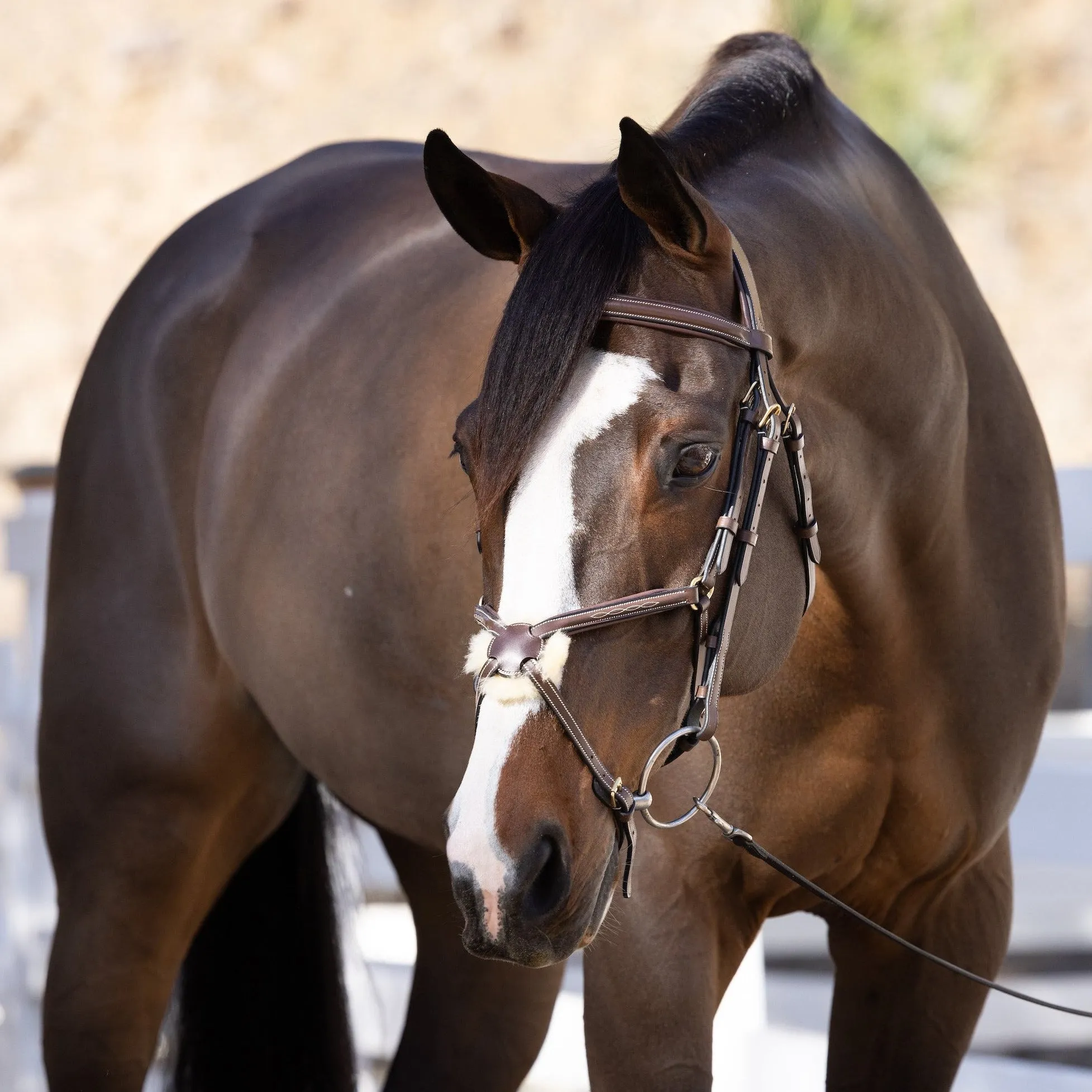 Hickstead Anatomical Brown Leather Figure-8 Bridle