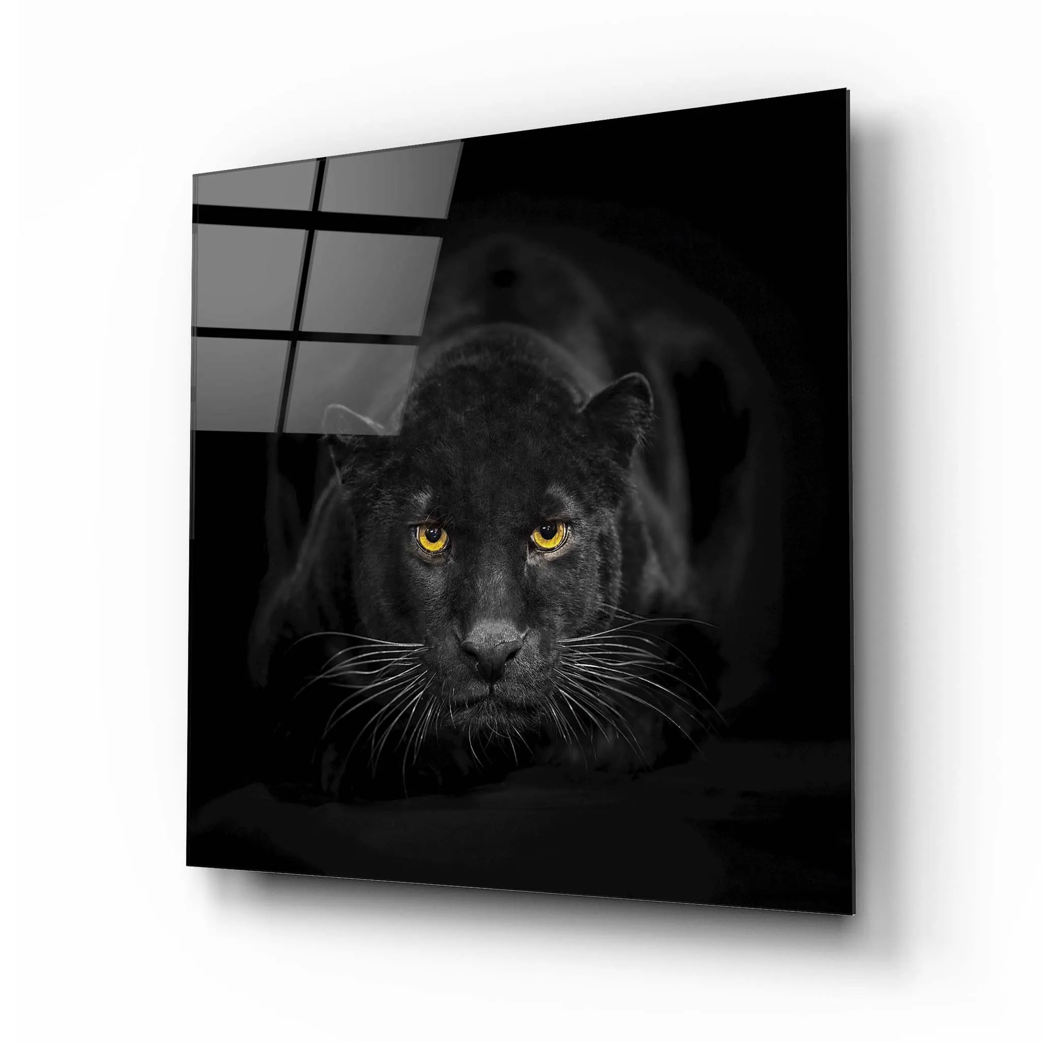 Panther Glass Wall Art